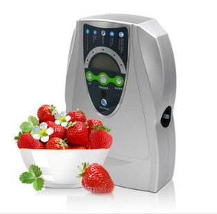 Генератор озона для моек фруктов и овощей 500 мг/ч