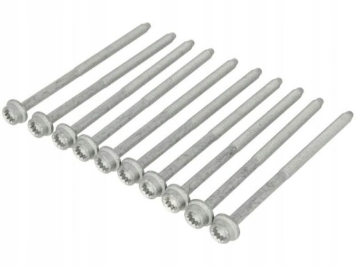 НАБОР БОЛТОВ ГОЛОВКИ 725.310 / ELR ELRING