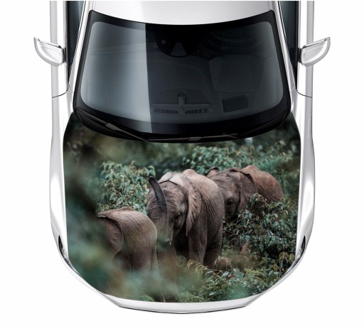 Наклейка на маску слона слоны 150X115 см пленка 3М