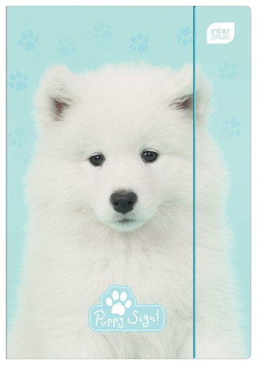 Папка А4 на гумці Інтерпринт