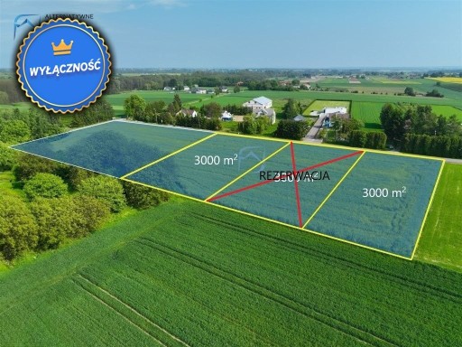 Działka, Pawlin, Konopnica (gm.), 3000 m²