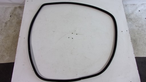 19811981YJKFRJTR - Уплотнитель двери задний правый замшевый BMW E60