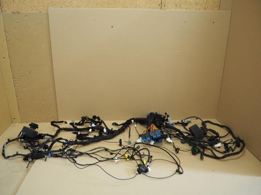 240180920S 282431955R - ВСТАНОВЛЕННЯ ДЖГУТА ВНУТРІШНЬОЇ ПАНЕЛІ CAPTUR LIFT