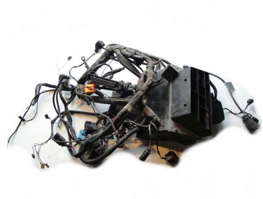 Uzywna-55ggda - Джгут проводів BMW R 1150 GS 1999-01