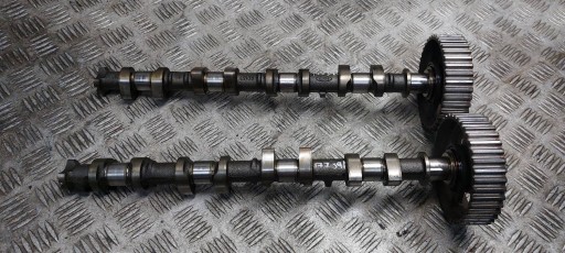 Arbres à cames de la distribution FORD FOCUS MK1
