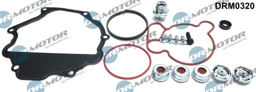 DRM0320 - ЗЕСТ.РЕМОНТ ВАКУУМНОГО НАСОСА