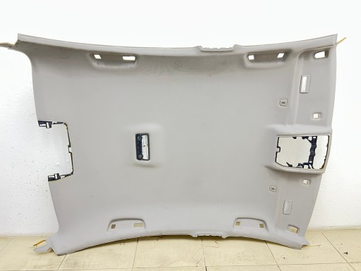 CIELO INTERNO SUFIT BMW F10 berlina 9173445 9173445-08