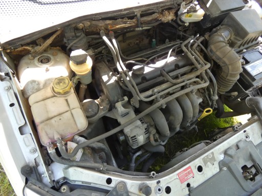 engine pillar FORD FOCUS MK1 1.6 16V FYDD 98-05 DO ODPALENIA FILM 188TYS