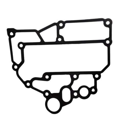 51.05901-0169, 51059010169 - Ущільнення масляного модуля MAN D2066 D2676 D38