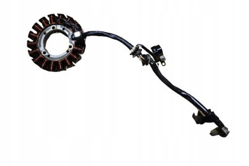 000EE8456 - XVS 1100 DRAG STAR ГЕНЕРАТОР СТАТОР СТАТОР PRADNI