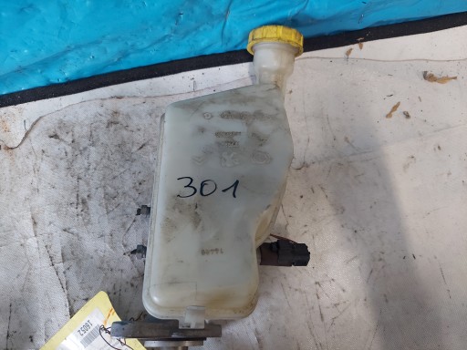 Servofreno CITROEN C3 1.6 16V 2008R 4780