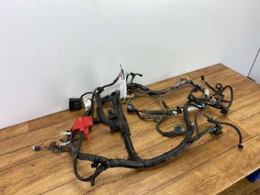 Câblage Moteur Ford Edge II Lift 2.0 2019+