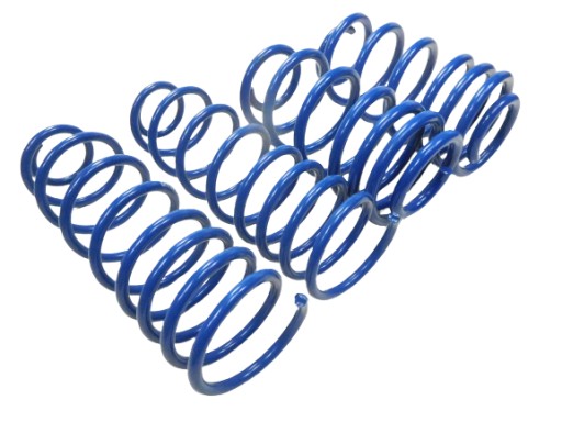 Понижуючі пружини FINTAC 40mm VW PASSAT B4 95004