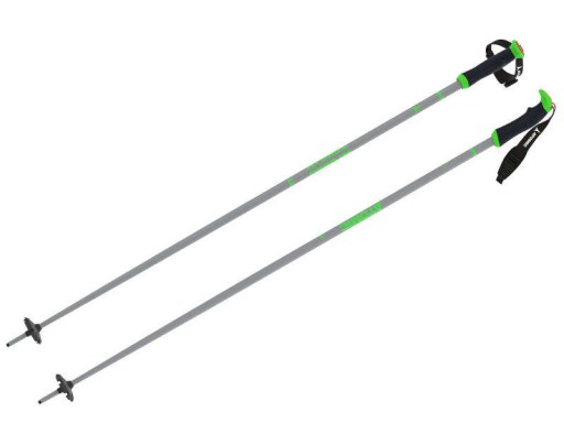 AMT SQS Atomic downhill poles