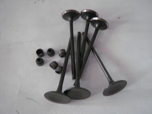 12911-78B00+12915A78B01+94535484 - ВПУСКНЫЕ И ВЫПУСКНЫЕ КЛАПАНЫ КОМПЛЕКТ 6-ШТ DAEWOO TICO, MATIZ