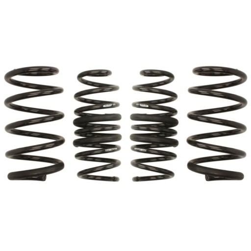 E10-75-017-05-22 - Ресори EIBACH PRO KIT Renault Clio RS IV
