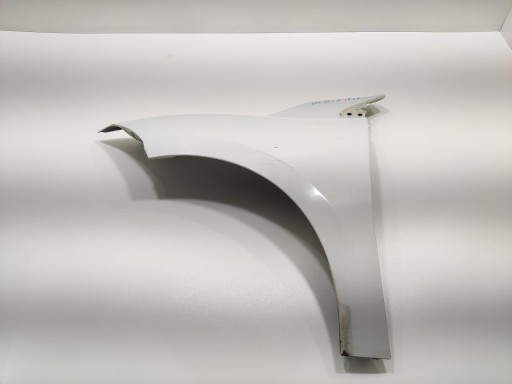 fender left front front RENAULT MEGANE III 2008-2013