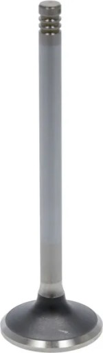 04283381 - Випускний клапан