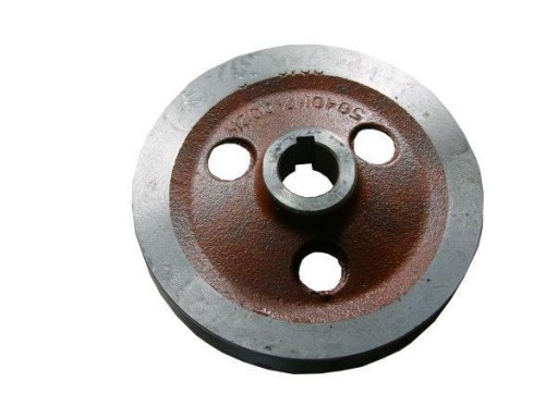 5040170021 - Шкив бизона.