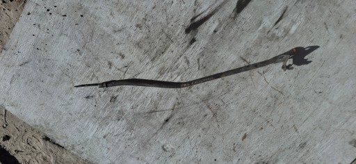 BAGNET MIARKA hose oil HONDA ACCORD VII CIVIC VIII FR-V 2.2 and-CTDI