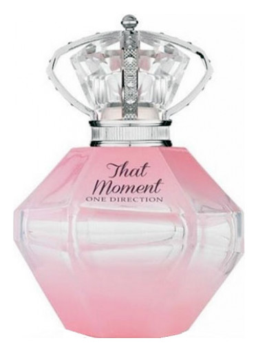 one direction that moment