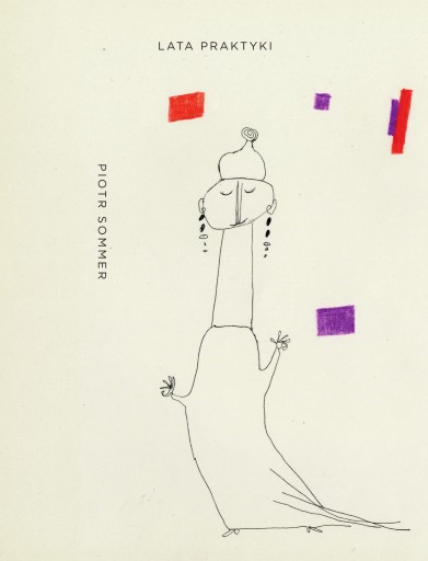 Lata praktyki Piotr Sommer - 36 zł - Allegro.pl - Raty 0%, Darmowa dostawa  ze Smart! - Kraków - Stan: nowy - ID oferty: 12100792413
