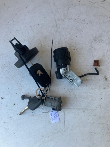 Allumage Insert WLEWKA 2X Clé PEUGEOT 308 T9