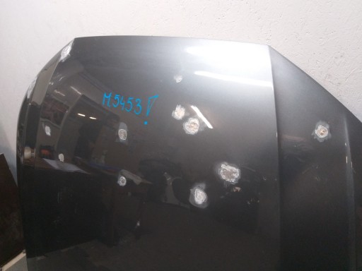 CAPOT AUDI A4 B9 8W0 16