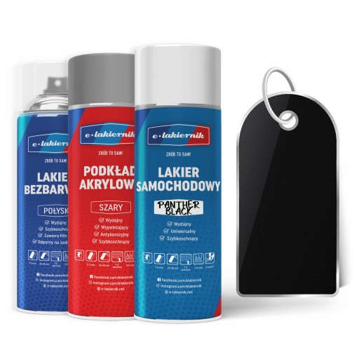 НАБІР ДЛЯ РОЗПИЛЕННЯ ФАРБИ АВТОМОБІЛЯ FORD PANTHER BLACK