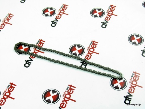 23318-E10-100 - ЛАНЦЮГ ГРМ ACCESS LUCKY STAR SP 250