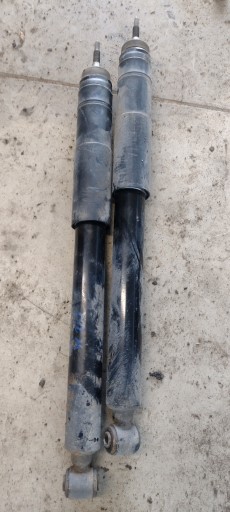 MGA-5604 - Амортизатори задні MERCEDES W202