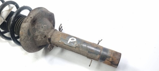shock absorber right front SKODA OCTAVIA and
