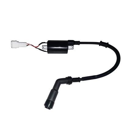 T38011 - КАТУШКА ЗАЖИГАНИЯ ZONTES ZT 310-R