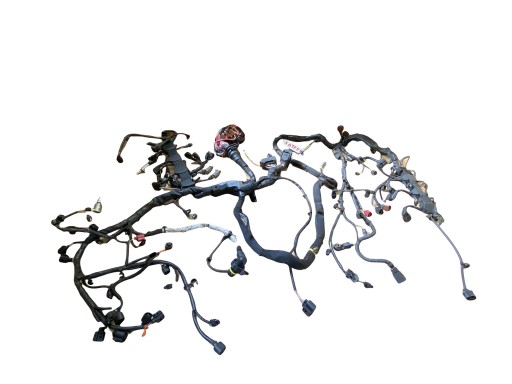 AUDI 3.0TFSI bundle motor wiring