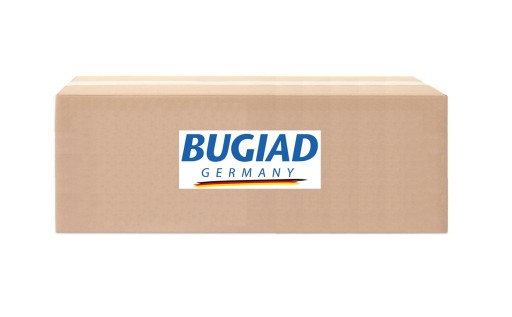 ПАТРУБОК ИНТЕРКУЛЕРА BUGIAD 81728 зображення 1