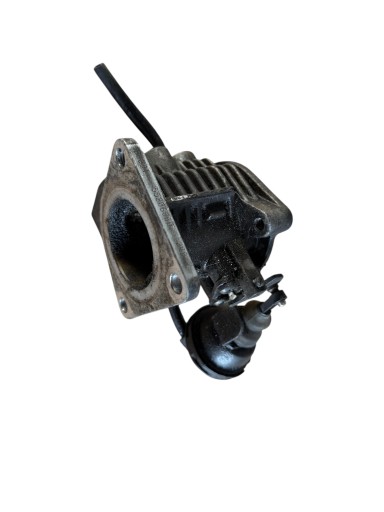 Drosselklappenstellmotor FIAT BRAVO II 1.9 JTDM 55206860