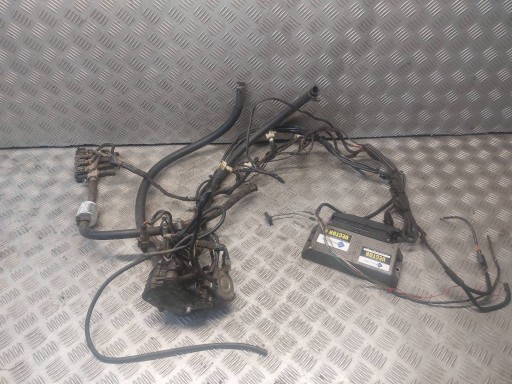 wiring gas LPG RENAULT KANGOO and 1.4 8V 67R-0142894