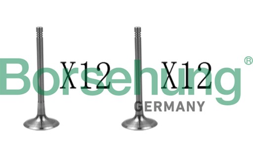 B18638 - ВСМОКТУЮЧИЙ КЛАПАН BORSEHUNG 06E109601H / KPL