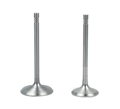 Комплект клапанів головки B18146