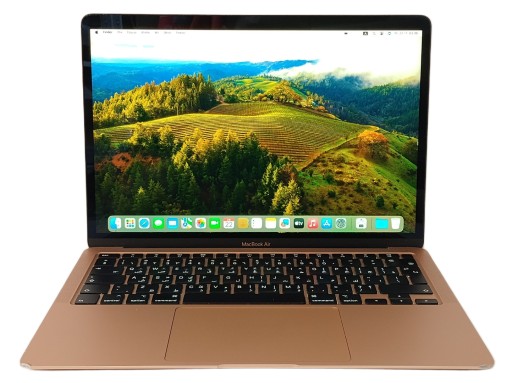Laptop Apple MacBook Air A2179 2020 13