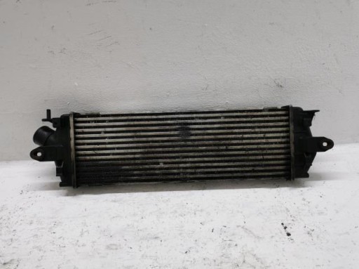 interkuler RENAULT TRAFIC II 2.0 DCI 93854162