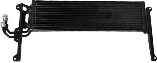 33171431901 - Масляний радіатор Vika