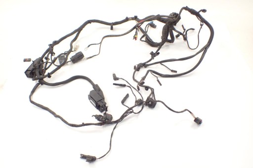 133667-1111 - BMW F 650 GS 08-13 жгут проводов