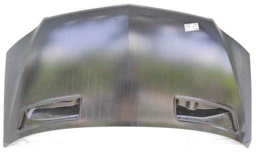 1663100 - Капот кришка двигуна MERCEDES SPRINTER W906 LIFT