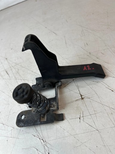 brava rygiel haube Renault Scenic III Lift