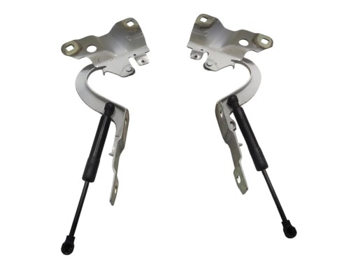 hinge bonnet hinges left right KOMPLET RENAULT ZOE and 2013-2019