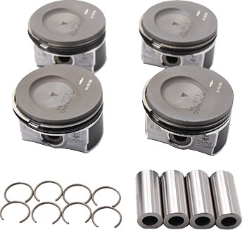 B18740 - Borsehung поршень