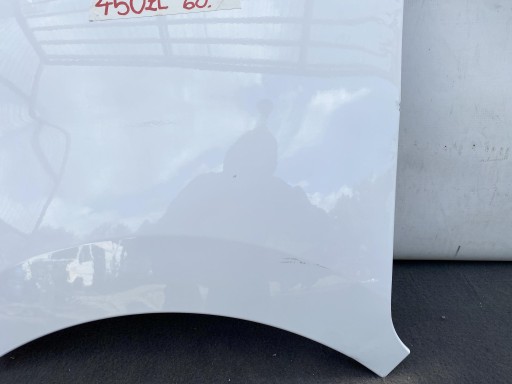 RENAULT MASTER 4 19- fender front front left BIALY 260429002R DEMONTAZ