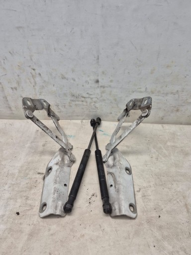 RANGE ROVER EVOQUE and 11- hinge bonnets right left damper 6H52-16801-AC