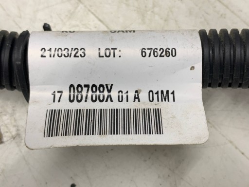 bundle wiring of a bumper front PDC 1708788X01A OPEL VIVARO C(2019-)EXPERT